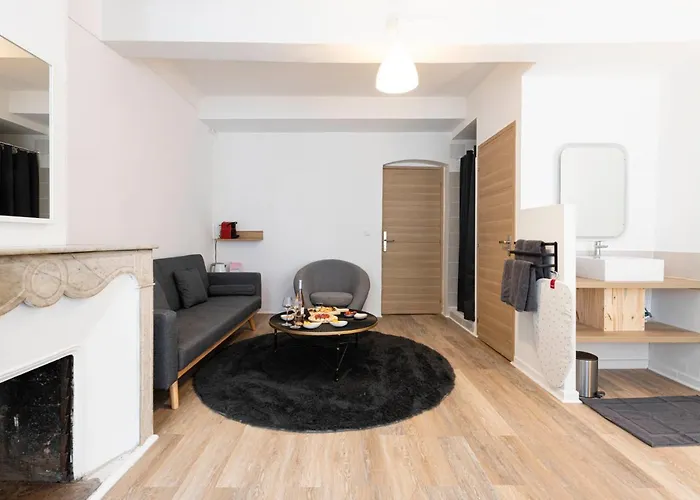 Maison Sibille - Plein Centre De Apartment *